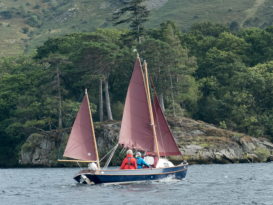 Swallows chasing Amazons